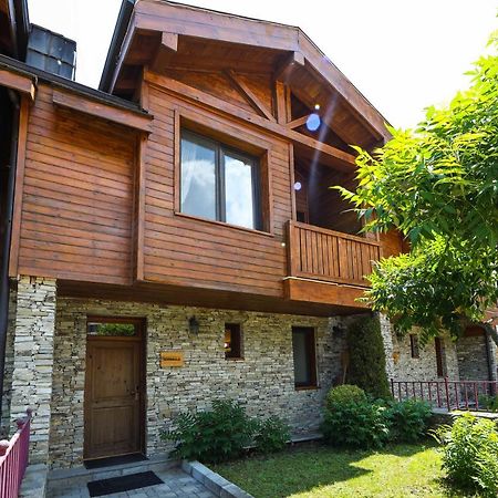 Lake View House Bansko Zewnętrze zdjęcie